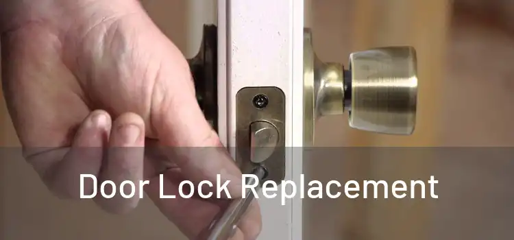  Door Lock Replacement 